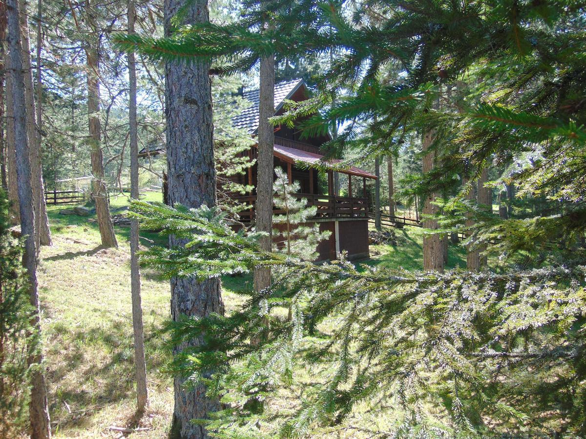 Tarski Dom Zaovine Luaran gambar