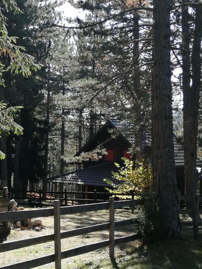 Tarski Dom Zaovine Luaran gambar